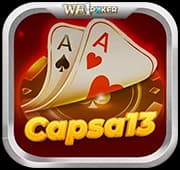CAPSA13